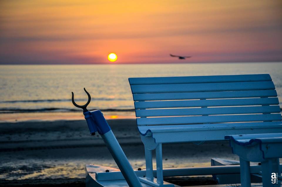 Luglio 2026 a Misano: Vacanza in libertà!